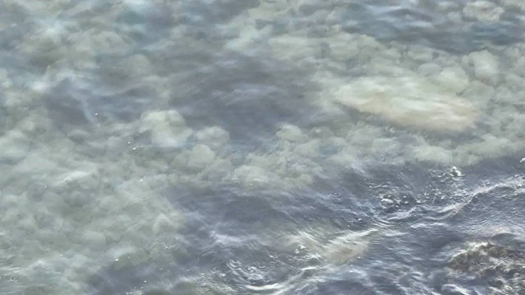 Eğirdir Gölü’nde Gizemli Olay: Çakmakla Kayalar Alev Aldı! 3